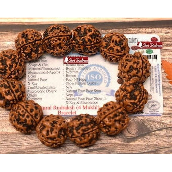 4 Mukhi Rudraksha Bracelet Nepal