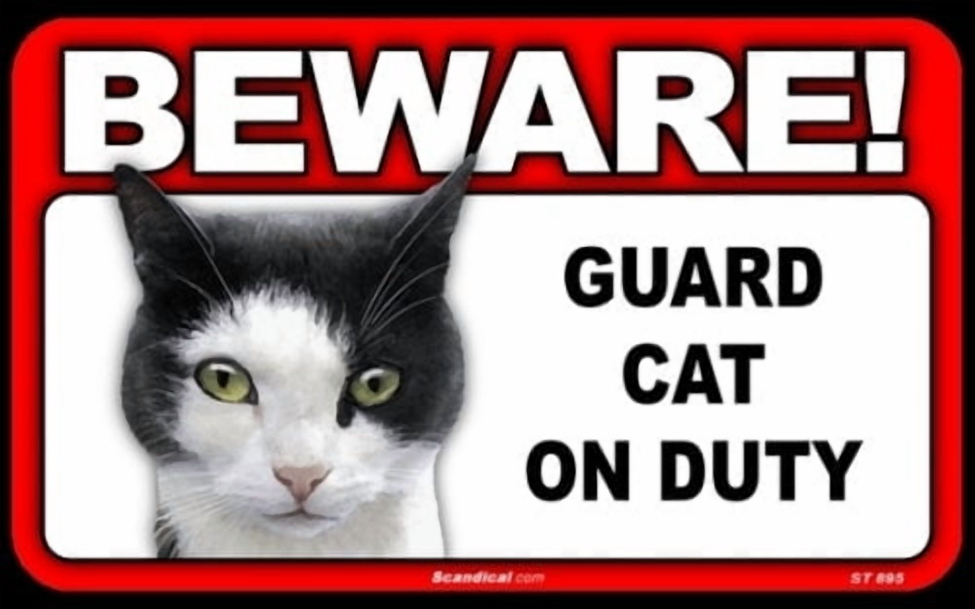 BEWARE Guard Cat on Duty Sign - Laminated Heavy Cardstock, Indoor Use,  Black Cat - Walmart.com