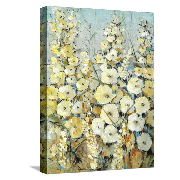 Art.com Cluster of Hollyhock I Stretched Canvas Print Wall Art by Tim O'toole, 12" x 16"