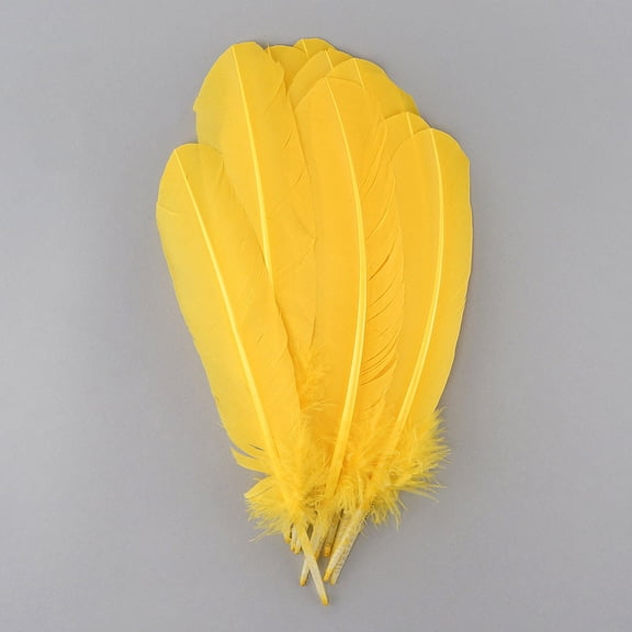 Zucker Feather Products Turkey Quills by Pound - Left Wing - 10-12" - Hunter Green