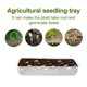 thumbnail image 5 of Plántulas Bandejas De Germinación Macetas De Plantas De Cultivo Interior Para El Inicio Y El Cultivo De Semillas 10 Uds Bandejas Methold HA035000-00, 5 of 6