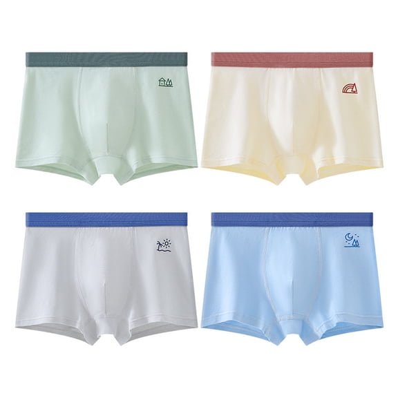 XEGLSBU 4pcs Boys Underwear for Adolescents Boys for Growth Classic Style for Comfortable and Breathable Design for Daily Wear Boys Underwear Size 8-10 Boxer Briefs Sky Blue2 Size 18 Years