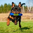 thumbnail image 4 of NERF Dog TPR EXO Squeak Stick Dog Chew Toy 6in, 4 of 4