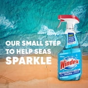 Windex Glass, Window, and Mirror Cleaner, Original Blue, Spray Bottle, 23 fl oz