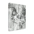 thumbnail image 2 of June Erica Vess 'Barnwood Flock IV' Canvas Art, 2 of 3