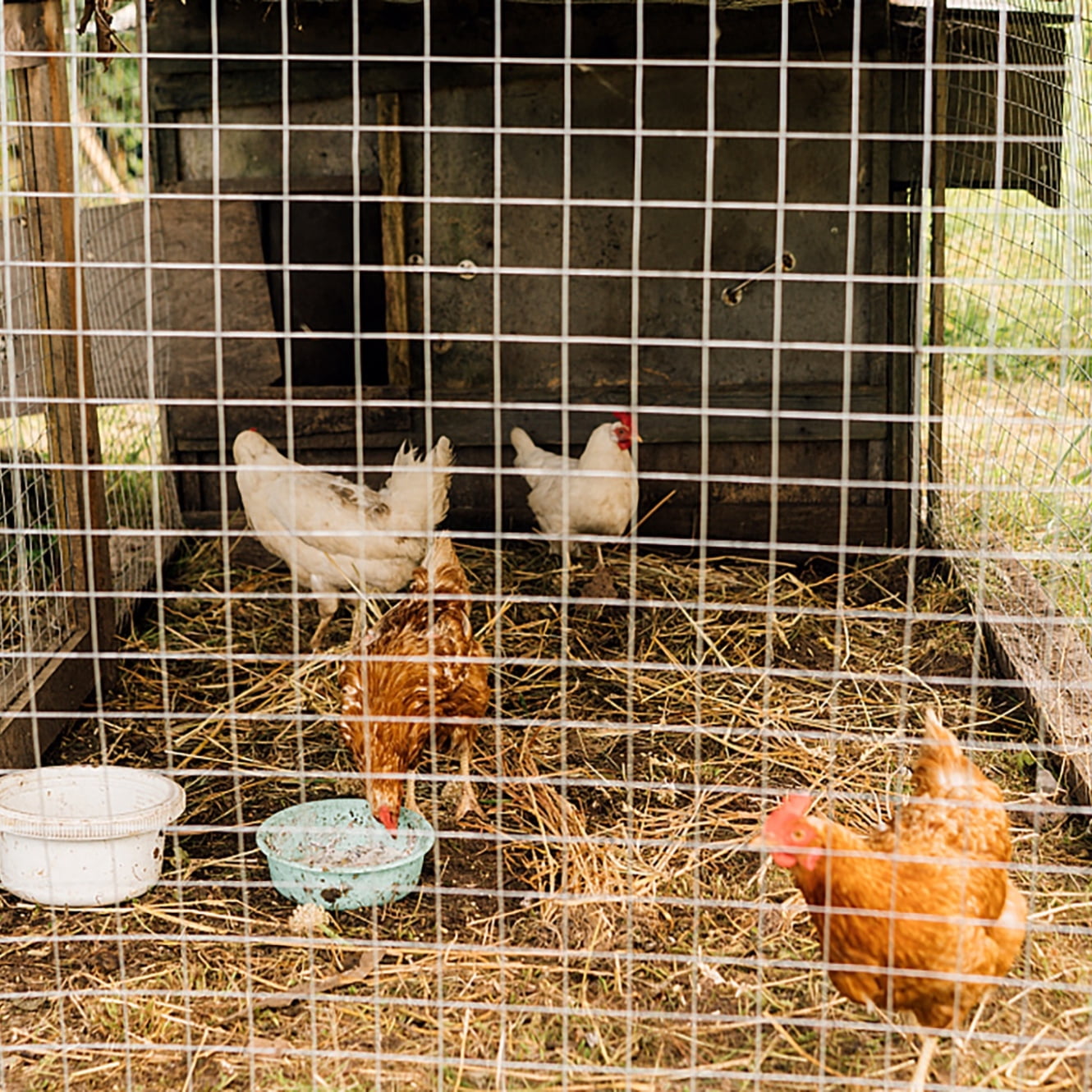 48in x 50ft Silver Hardware Cloth, 1/4 inch 23 Gauge Hot-dip Galvanized After Welding Wire Mesh Roll, Metal Chicken Wire Fencing, Garden Plant Fence for Chicken Coop