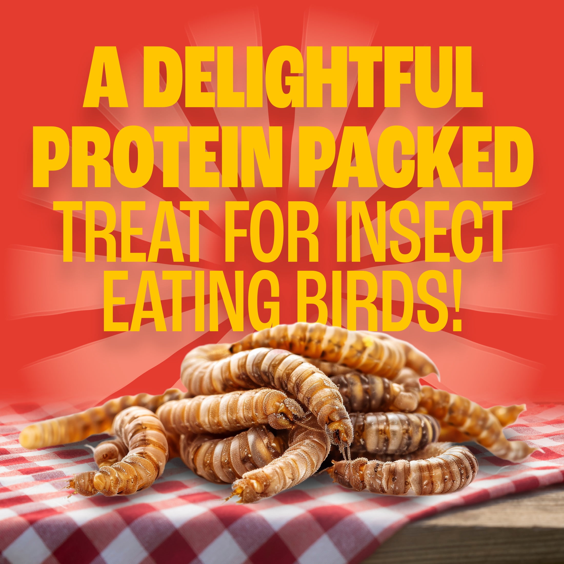 Pennington Recipe Selects Dried Mealworms for Birds, Bluebird and Wild Bird Food for Outside Feeder, 2 lb. Bag, 1 Pack