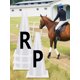 thumbnail image 5 of P V S R 4cs Letras Doma Coneset Incluye Conos Puertos Elásticos, 5 of 9