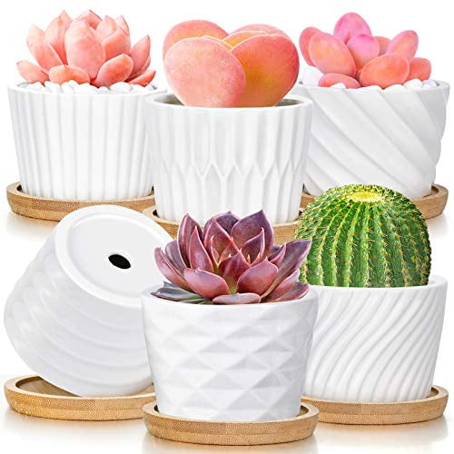 5” Boho Planters with Saucers and Drainage Hole Gardening Home Office Windowsill Succulent Flower Pots Plants Not Included Set of 2 White, Ceramic Plant Pots for Indoor Plants