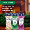 thumbnail image 2 of Downy Holiday Laundry Scent Booster Beads Trio Bundle in the festive Snow Berry, Enchanted Woods, and Vanilla Cashmere Scents, 2 of 11