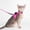 Pink#3854, variant on Rwvbm Escape Proof Cat Harness and Leash Set, Reflective Adjustable Soft Mesh Walking Vest with GPS Tracker Pouch for Small Cats and Puppies