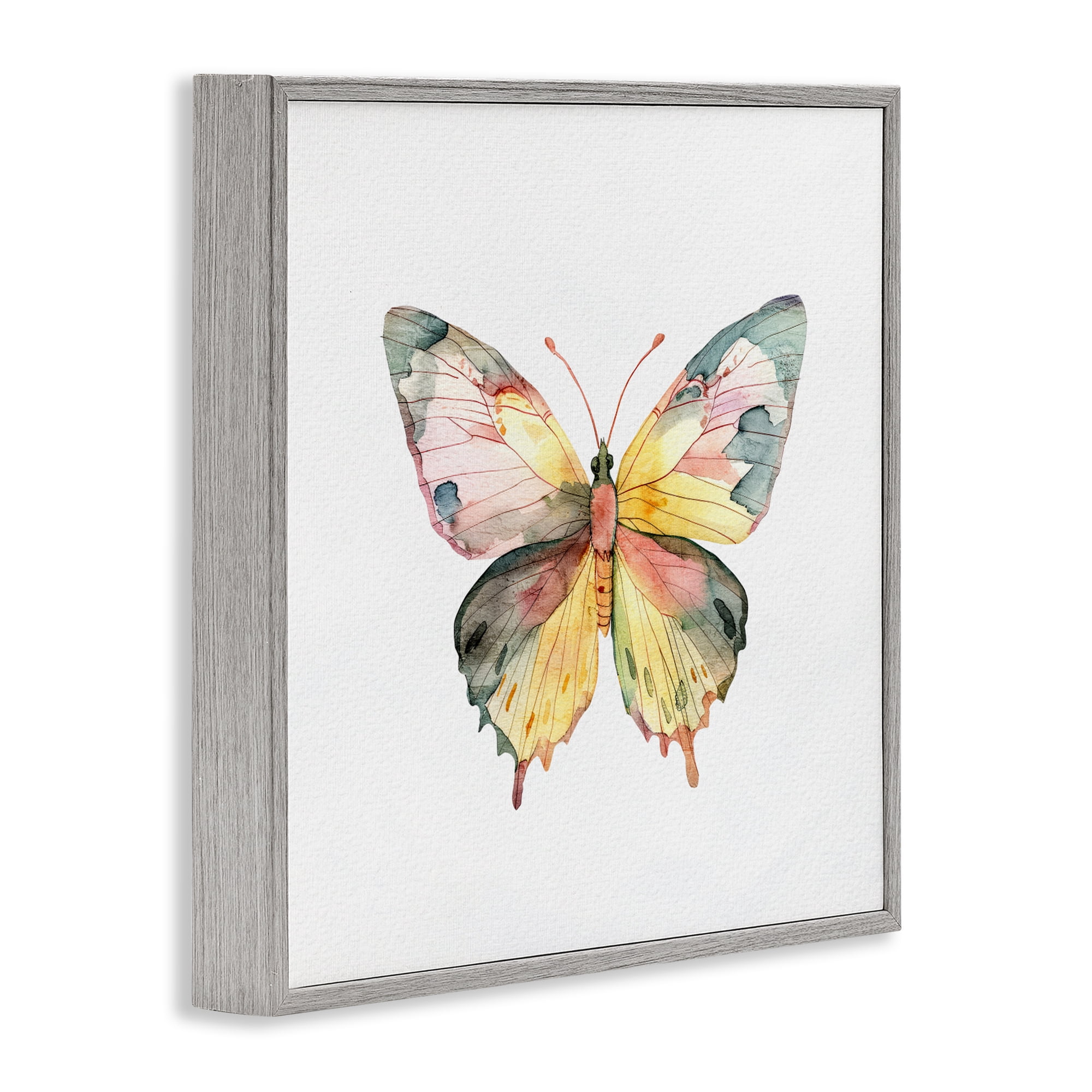 Stupell Industries Watercolor Butterfly Subtlety Gray Framed Giclee Art, design by Kim Allen