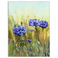 thumbnail image 2 of Cornflowers in Full Bloom - Floral Art Canvas Print, 2 of 3