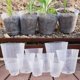 thumbnail image 3 of Maceta transparente para plantas, maceta para vivero, taza para plántulas, trasplantación de jardinería, maceta, herramienta de jardinería, 10/50 Uds.,8x8cm, 3 of 7