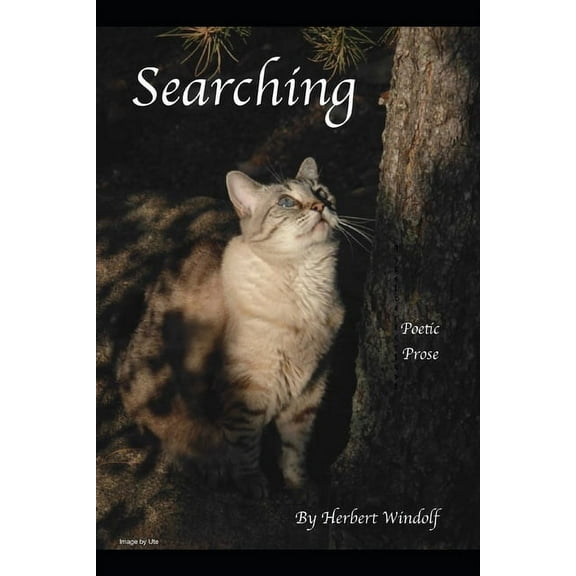 Searching (Paperback)