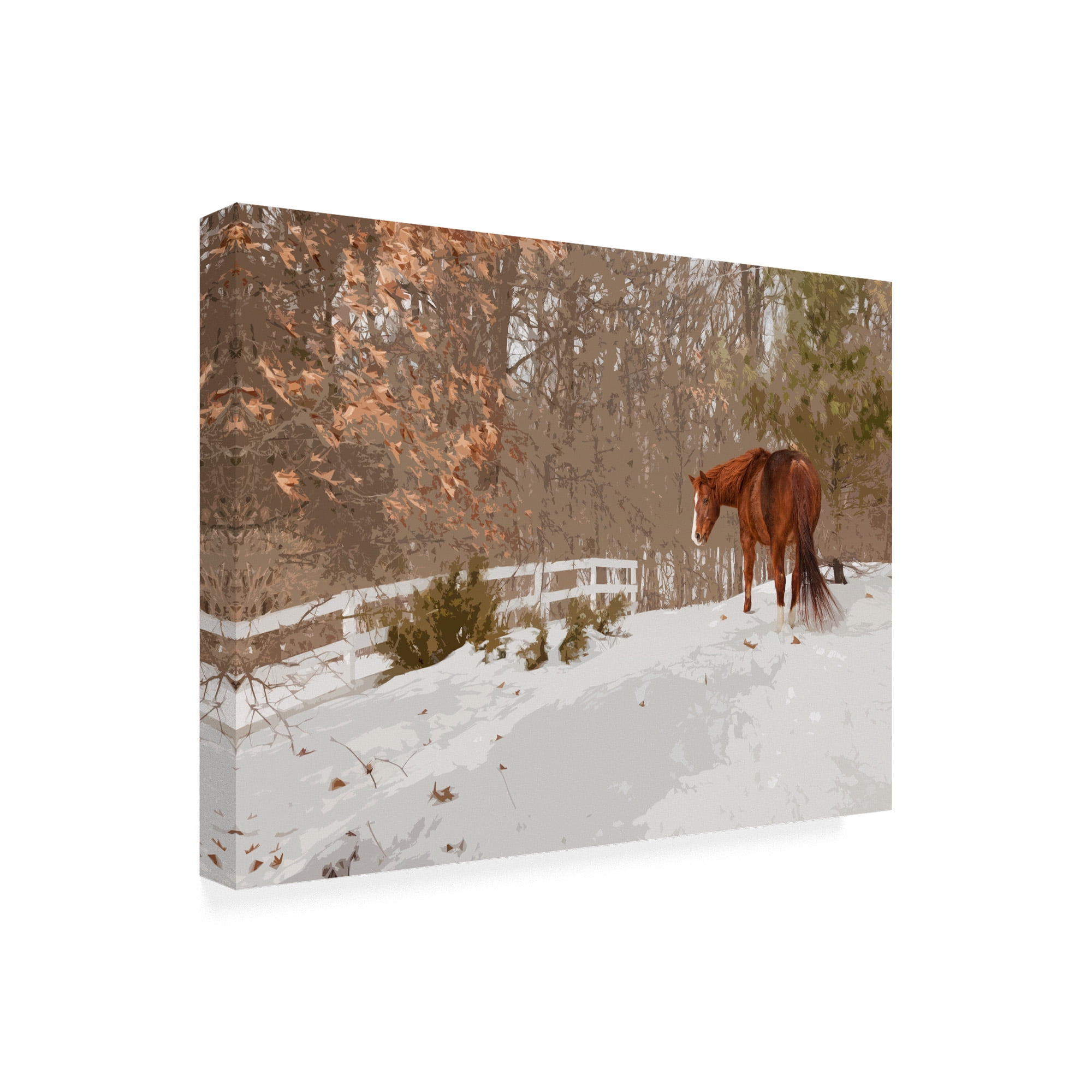 Trademark Fine Art 'Horse In The Snow Milford Michigan' Canvas Art by Monte Nagler