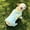 C, variant on Summer Dog Cooling Shirt Ice Silk Four-Legged Dog Cat Vest Breathable UV Protection Pet Sport Outfit Pet Apparel with D-Ring for Small Medium Hot Weather Walks XS