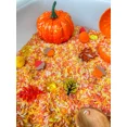 thumbnail image 3 of Fall Rice Sensory Bin, 3 of 8