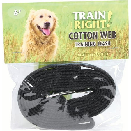 TRAIN RIGHT! COTTON WEB DOG TRAINING LEASH
