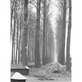 thumbnail image 2 of Koetsier, Albert 25x32 White Modern Wood Framed Museum Art Print Titled - Road To Nowhere, 2 of 4