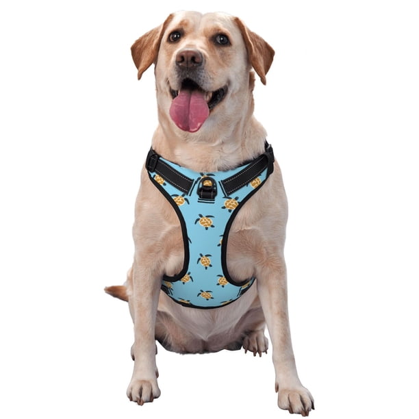 Balery Sea Turtle Arnés para Perros Grandes Antitirones, Arnés con Correa para Gato, Arnés Tipo Chaleco para Perros Pequeños-X-Large