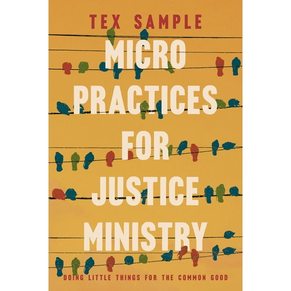 Micro Practices for Justice Ministry: Doing Little Things for the Common Good, (Paperback)