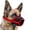 Red, variant on Carlikeit Dog Muzzle for Medium Dogs 2026, Soft Air Mesh Breathable Muzzle with Adjustable Strap, Allows Panting Drinking, Lightweight Pet Mouth Guard for Training Grooming
