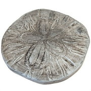 Athens Sand Dollar Stepping Stone, Pre Aged