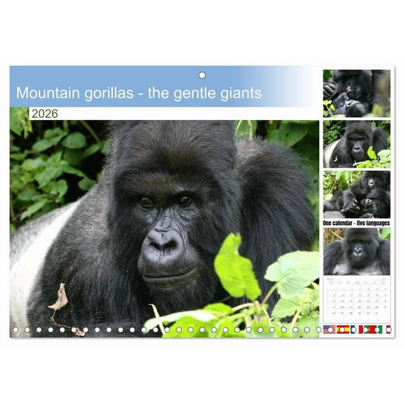 Mountain gorillas - the gentle giants (Monthly Wall Calendar 2026 11.7 x 16.5 (open)), CALVENDO 14 Month Calendar