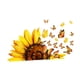 thumbnail image 3 of Pegatinas de pared con diseño de mariposa y girasol, para ventanas, compactas, decorativas, despegables y adhesivas, para decoración de guarderías,, 3 of 9