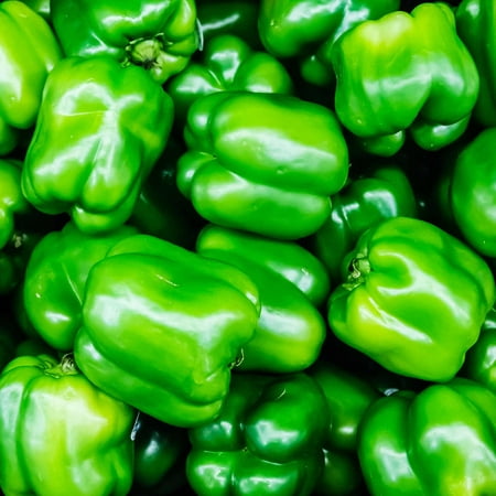 North Star Hybrid - Sweet Pepper Garden Seeds - 100 Seeds - Non-GMO - Green Bell Peppers Seed - Vegetable Gardening (Best Way To Grow Bell Peppers)