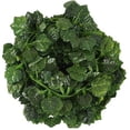 thumbnail image 2 of MYG 12Pcs Artificial Hanging Plants Long Green Grape Creeper Green Basket Garland, 2 of 6
