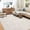Beige, variant on Washable Area Rug 6 x 9 Rugs for Living Room Vintage Floral Black Rug Non Slip Throw Rugs Distressed Large Bedroom Rug Low Pile Stain Resistant Carpet for Dining Room Nursery 6'x9' Black