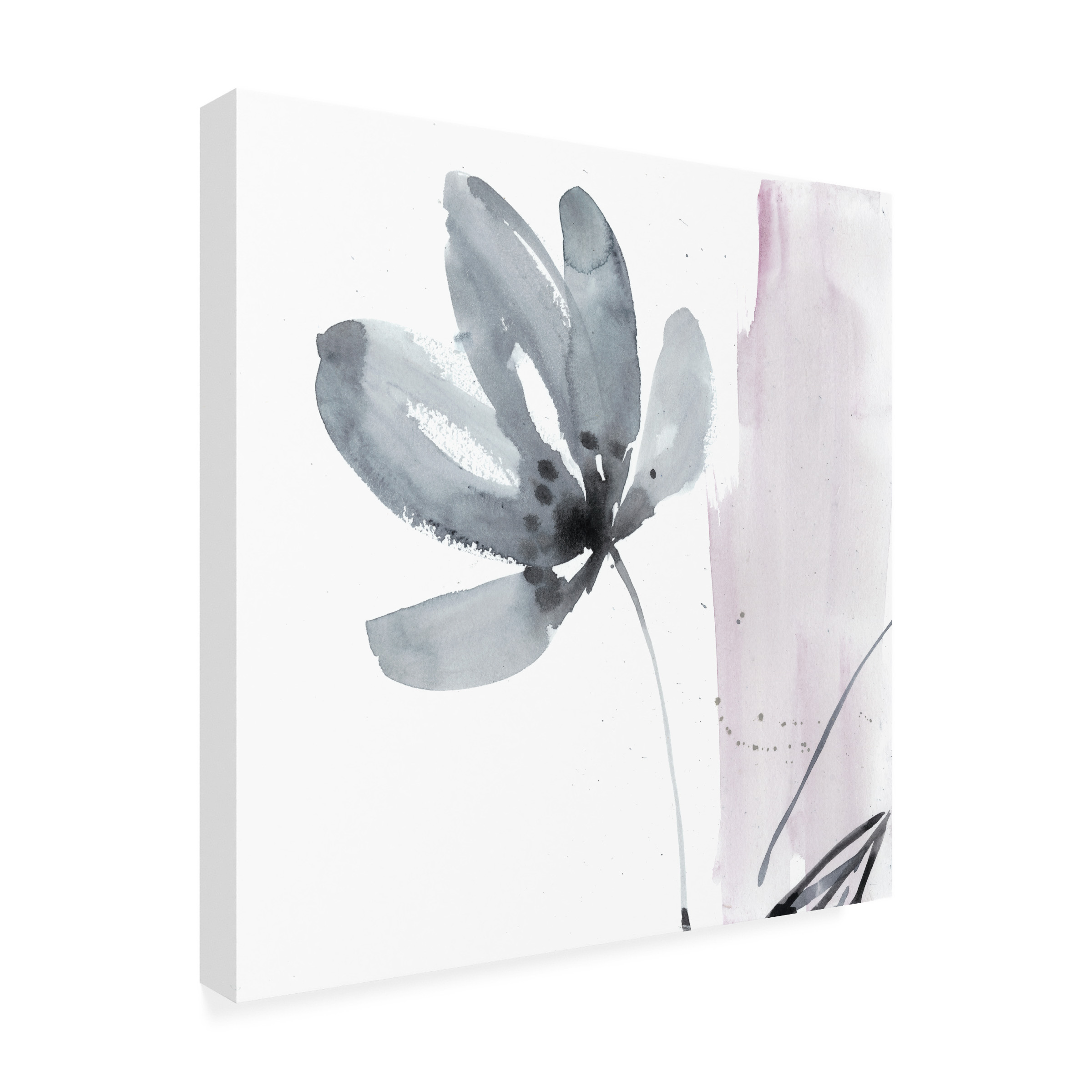 Trademark Fine Art Jennifer Goldberger Ua Ch Blush Flower Splash I Canvas Wall Art - 35x35
