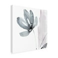 thumbnail image 3 of Trademark Fine Art Jennifer Goldberger Ua Ch Blush Flower Splash I Canvas Wall Art - 24x24, 3 of 5