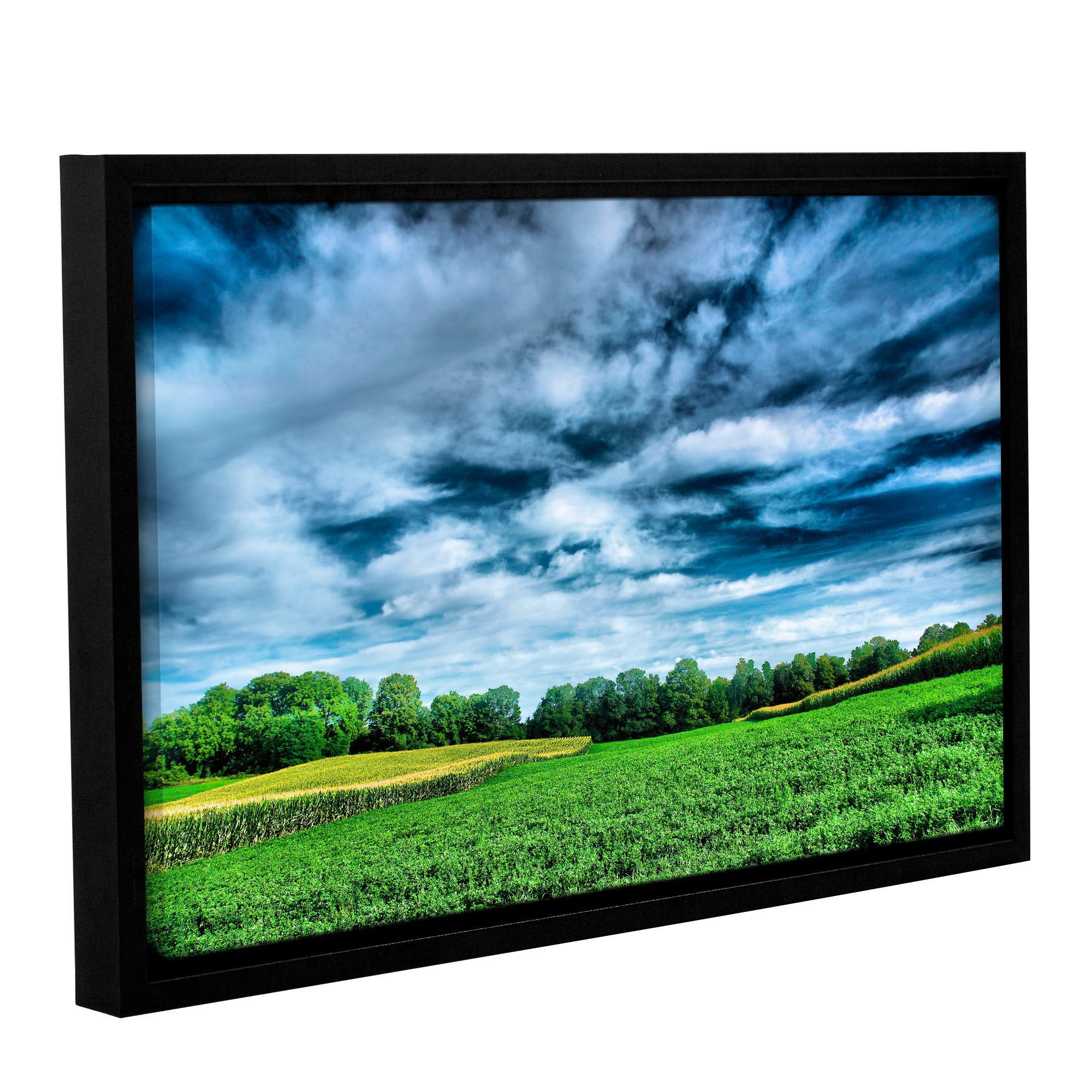 ArtWall Steve Ainsworth "Field of Dreams" Gallery-Wrapped Floater-Framed Canvas
