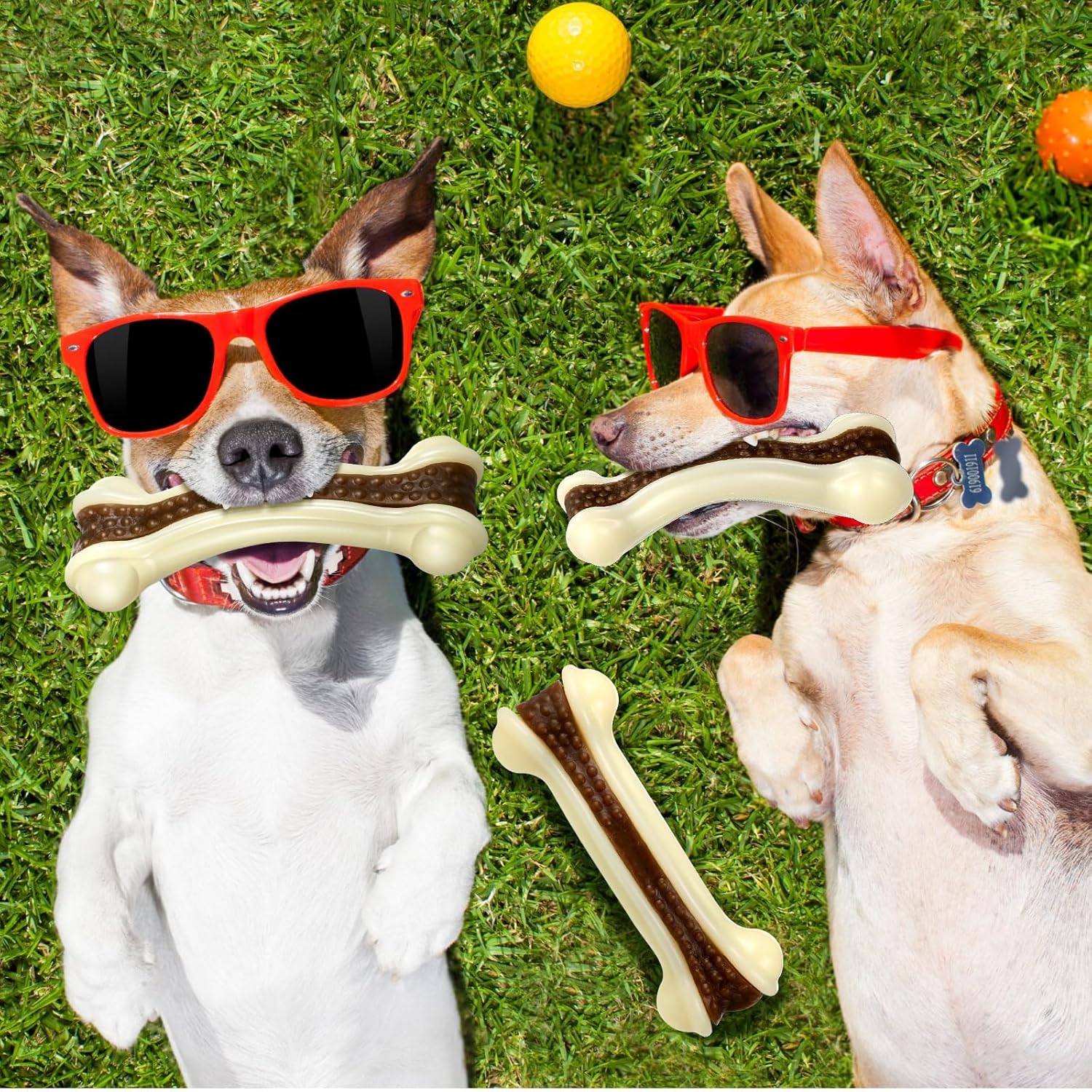 10 Pcs Dog Chew Toys for Aggressive Chewers Nylon Beef Flavor Dog Bones Tough Puppy Teething Toys Puppy Chew Bones for Large/Medium/Small Breed Dogs Puppies