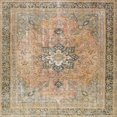 thumbnail image 1 of Ahgly Company Machine Washable Indoor Square Traditional Dark Gold Brown Area Rugs, 5' Square, 1 of 7