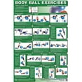 thumbnail image 1 of Productive Fitness CBBUL Body Ball Upper- Lower Body - Laminated, 1 of 1
