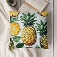 thumbnail image 3 of SHANXI Art Plant Fruit Illustration White Summer Fruit Pillowcases Sofa 18x18in, 3 of 5