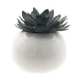 thumbnail image 2 of Way To Celebrate Halloween Dolomite Pumpkin Planter, White, 2 of 7