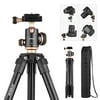 Andoer Q160SA Camera Tripod Complete Tripods with Panoramic Ballhead Bubble Level Adjustable Height Portable Travel Tripod for DSLR Digital Cameras Camcorder Mini Projector Compatible with C