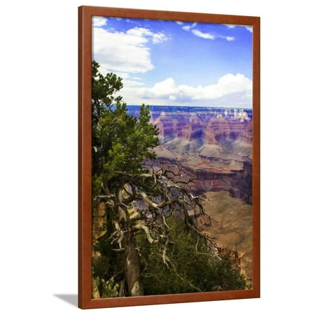 - The Canyon Rim II Framed Print Wall Art By Alan Hausenflock