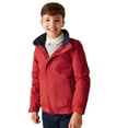 thumbnail image 3 of Regatta Kids/Childrens Dover Thermal Waterproof Windproof Raincoat Jacket, 3 of 4