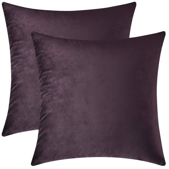 Mixhug Housses de Coussin Décoratives Rectangulaires en Velours Douillet pour Canapé et Lit Prune Foncée 12 x 20 Pouces Lot de 2