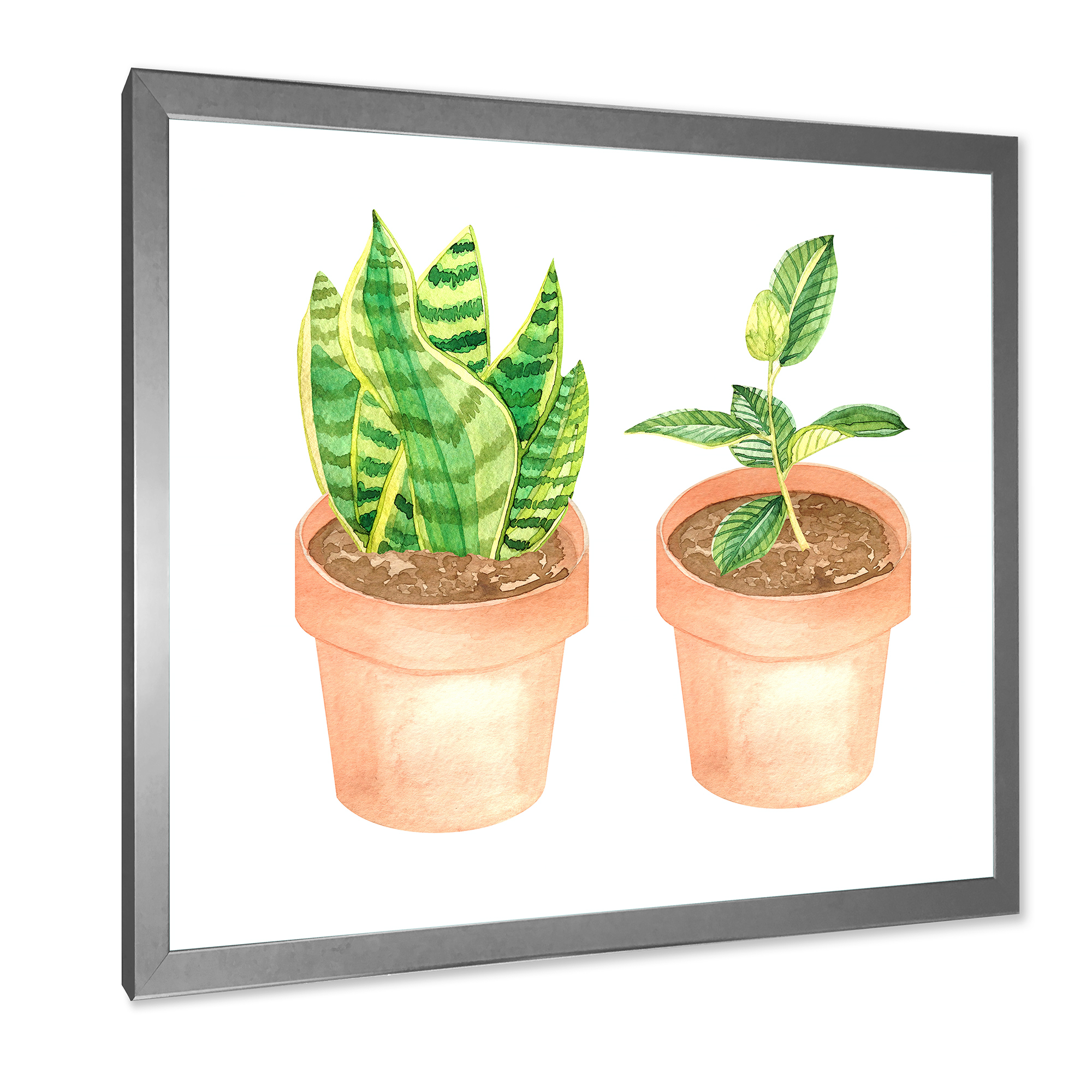 Designart 'Ficus and Sansevieria Indoor Green Home House Plants' Traditional Framed Art Print