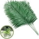 thumbnail image 1 of 12 hojas de palmera artificiales, hojas de palmera falsas, hojas de palmera grandes tropicales, plantas verdes para fiestas hawaianas, fiestas en la jungla, decoraciones con hojas de palmera grandes, 1 of 7