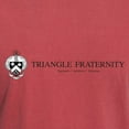 thumbnail image 3 of CafePress - Triangle Coat Of Arms Wordmark T Shirt - Mens Comfort Colors Shirt, 3 of 5