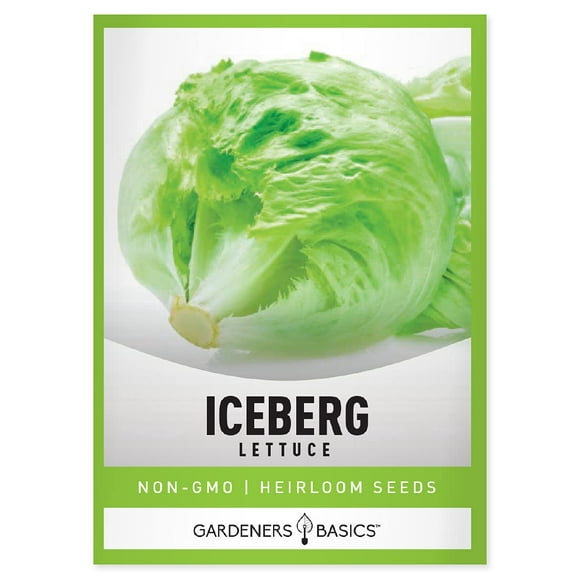 Iceberg Lettuce Seeds for Planting - (Head) Heirloom, Non-GMO Vegetable Variety- 2 Grams Seeds Great for Spring, Summer, Fall, Winter Garden and Hydroponics by Gardeners Basics