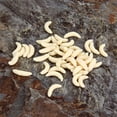 thumbnail image 3 of 200Pcs Soft Plastic Fishing Lures Baits Maggots Worms Tackle light yellow, 3 of 6